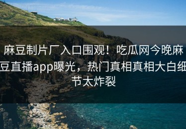 麻豆制片厂入口围观！吃瓜网今晚麻豆直播app曝光，热门真相真相大白细节太炸裂