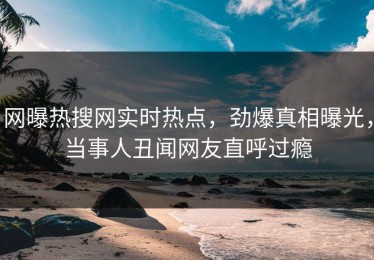 网曝热搜网实时热点，劲爆真相曝光，当事人丑闻网友直呼过瘾