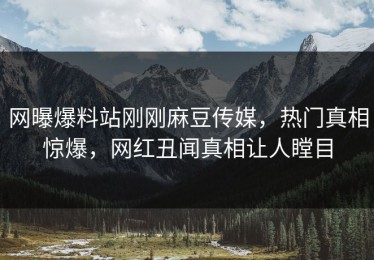 网曝爆料站刚刚麻豆传媒，热门真相惊爆，网红丑闻真相让人瞠目