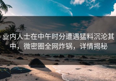 业内人士在中午时分遭遇猛料沉沦其中，微密圈全网炸锅，详情揭秘