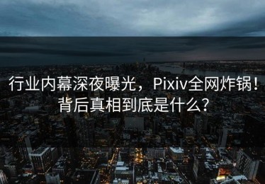 行业内幕深夜曝光，Pixiv全网炸锅！背后真相到底是什么？