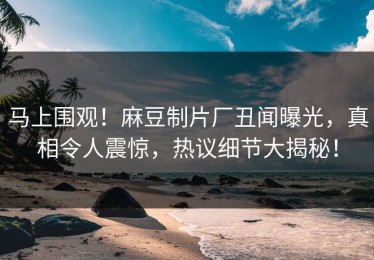 马上围观！麻豆制片厂丑闻曝光，真相令人震惊，热议细节大揭秘！