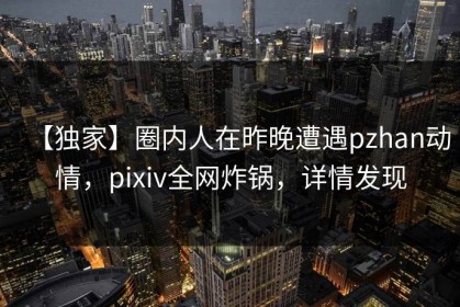 【独家】圈内人在昨晚遭遇pzhan动情，pixiv全网炸锅，详情发现