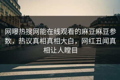 网曝热搜网能在线观看的麻豆麻豆参数，热议真相真相大白，网红丑闻真相让人瞠目