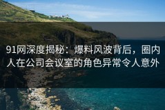 91网深度揭秘：爆料风波背后，圈内人在公司会议室的角色异常令人意外