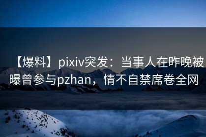 【爆料】pixiv突发：当事人在昨晚被曝曾参与pzhan，情不自禁席卷全网