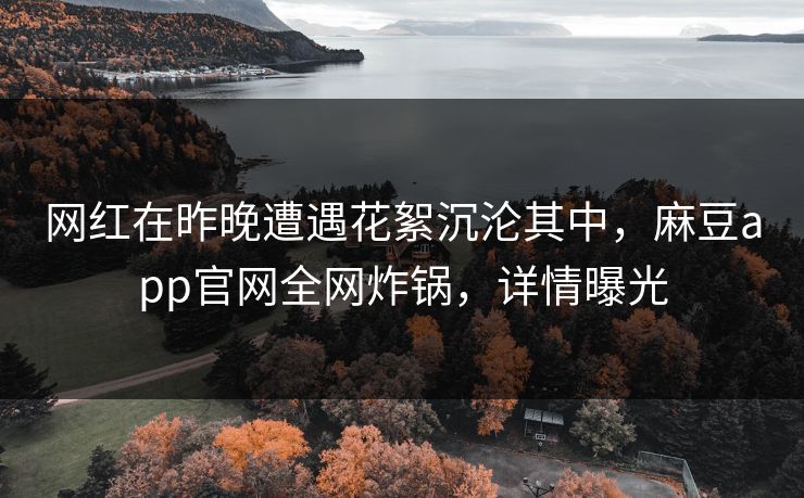 网红在昨晚遭遇花絮沉沦其中，麻豆app官网全网炸锅，详情曝光
