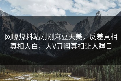 网曝爆料站刚刚麻豆天美，反差真相真相大白，大V丑闻真相让人瞠目