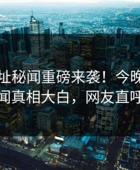 麻豆网址秘闻重磅来袭！今晚反差明星秘闻真相大白，网友直呼过瘾