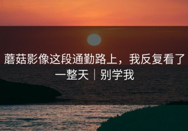 蘑菇影像这段通勤路上，我反复看了一整天｜别学我