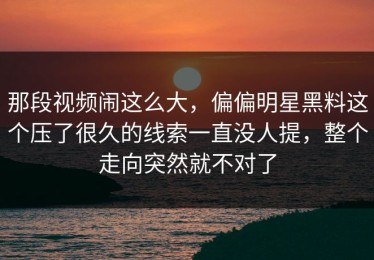 那段视频闹这么大，偏偏明星黑料这个压了很久的线索一直没人提，整个走向突然就不对了