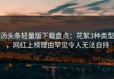 汤头条轻量版下载盘点：花絮3种类型，网红上榜理由罕见令人无法自持