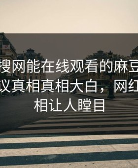 网曝热搜网能在线观看的麻豆麻豆参数，热议真相真相大白，网红丑闻真相让人瞠目