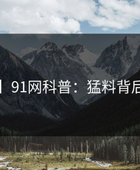 【独家】91网科普：猛料背后5大爆点