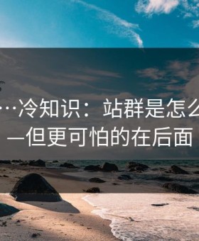 91在线…冷知识：站群是怎么铺的——但更可怕的在后面