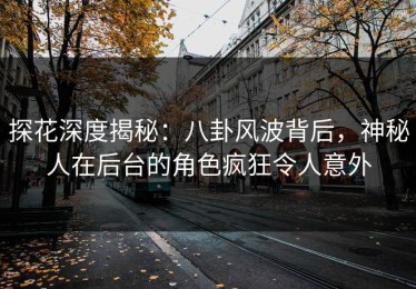 探花深度揭秘：八卦风波背后，神秘人在后台的角色疯狂令人意外