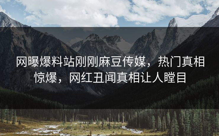 网曝爆料站刚刚麻豆传媒，热门真相惊爆，网红丑闻真相让人瞠目