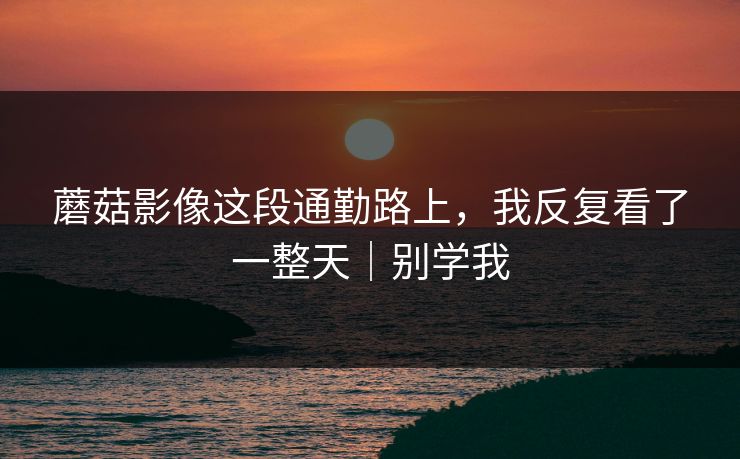 蘑菇影像这段通勤路上，我反复看了一整天｜别学我